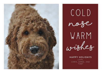 Cold Nose Warm Wishes