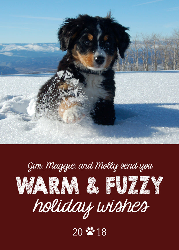 Warm and Fuzzy Holiday Wishes