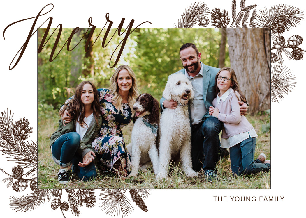 Merry – Winter Plants