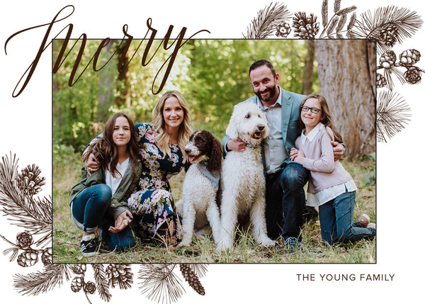 Merry – Winter Plants