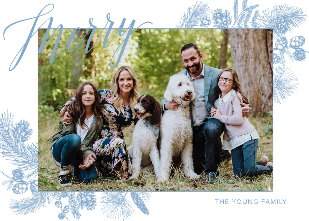 Merry – Winter Plants