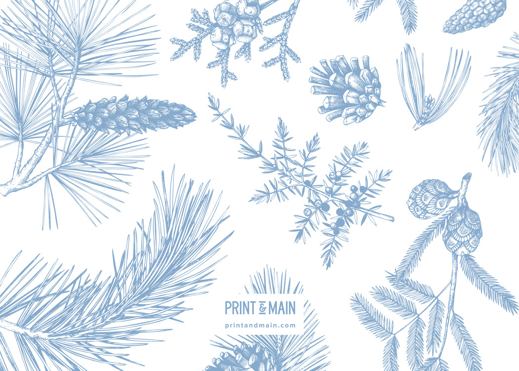 Merry – Winter Plants